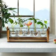 1pc, 5 Bulb Vase Plant Glass Container, With Wooden Frame, Indoor Living Hydroponic Plant Office Garden Planter