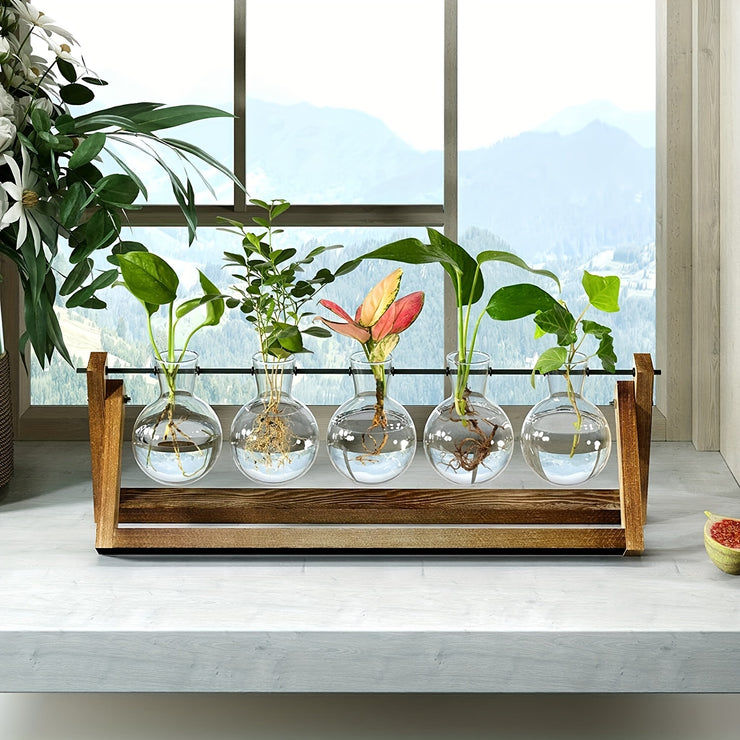1pc, 5 Bulb Vase Plant Glass Container, With Wooden Frame, Indoor Living Hydroponic Plant Office Garden Planter