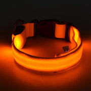Light Up the Night with a LED Dog & Cat Collar - Perfect for Outdoor Walks!