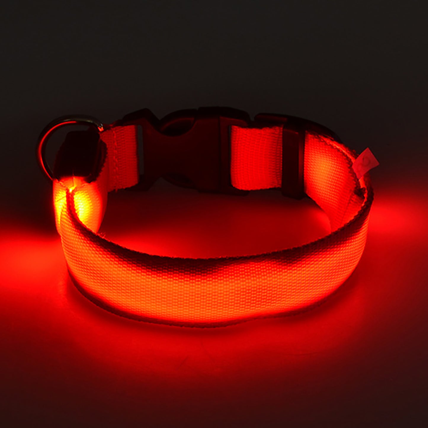 Light Up the Night with a LED Dog & Cat Collar - Perfect for Outdoor Walks!