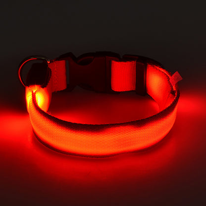 Light Up the Night with a LED Dog & Cat Collar - Perfect for Outdoor Walks!
