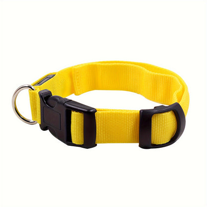 Light Up the Night with a LED Dog & Cat Collar - Perfect for Outdoor Walks!