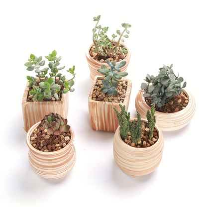 6pcs/set Decorative Ceramic Planter with Drain Hole - Perfect Gift Idea for Women - Mini Plant Pot for Succulents, Cactus, and Flowers - Wooden Pattern Design - Ideal for Home, Office, and Outdoor Garden - 6.5cm (Plants Not I