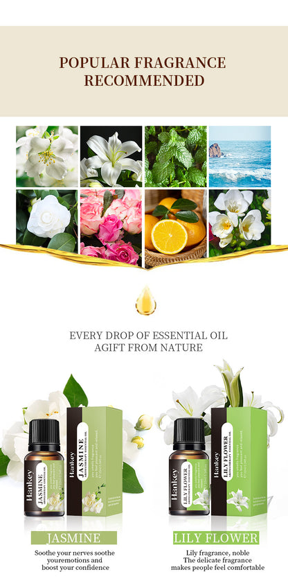 Aromatherapy Essential Oils For Aromatherapy Diffuser & Humidifier, Natural And Long-lasting Fragrance - Rose Petal, Jasmine, Lily Flower, Deep Ocean, White Tea, Freesia, Mint Leaf