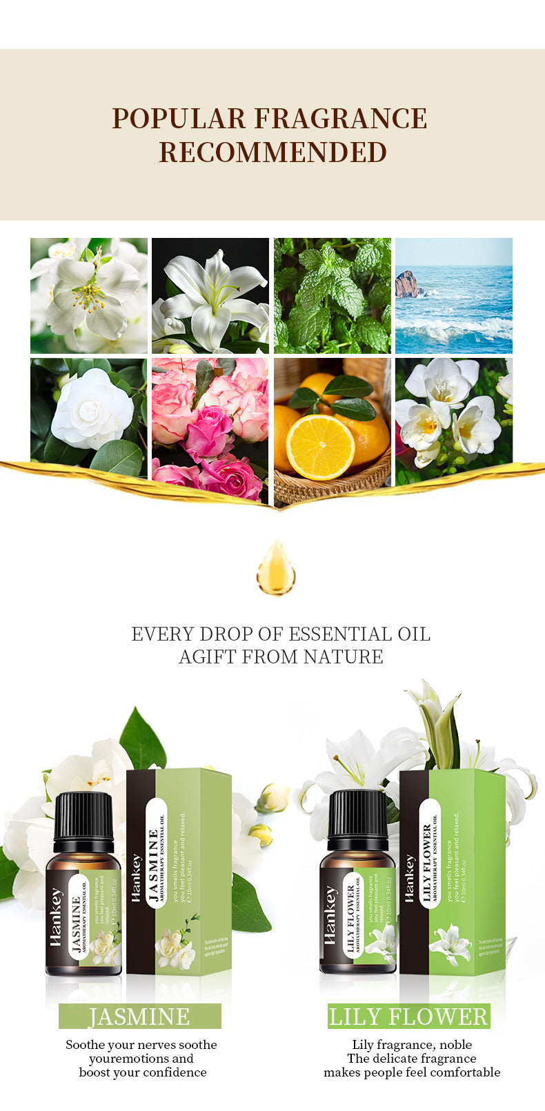 Aromatherapy Essential Oils For Aromatherapy Diffuser & Humidifier, Natural And Long-lasting Fragrance - Rose Petal, Jasmine, Lily Flower, Deep Ocean, White Tea, Freesia, Mint Leaf