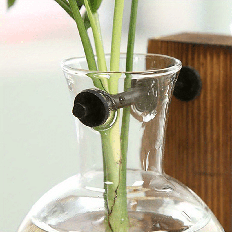 1/2/4pcs Hydroponic Glass Vase, Vintage Desktop Plant Terrarium Planter Bulb Vase, Water Planting Propagation Vase Planters Hydroponics Plants With Retro Wooden Stand Home Garden