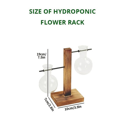 1/2/4pcs Hydroponic Glass Vase, Vintage Desktop Plant Terrarium Planter Bulb Vase, Water Planting Propagation Vase Planters Hydroponics Plants With Retro Wooden Stand Home Garden