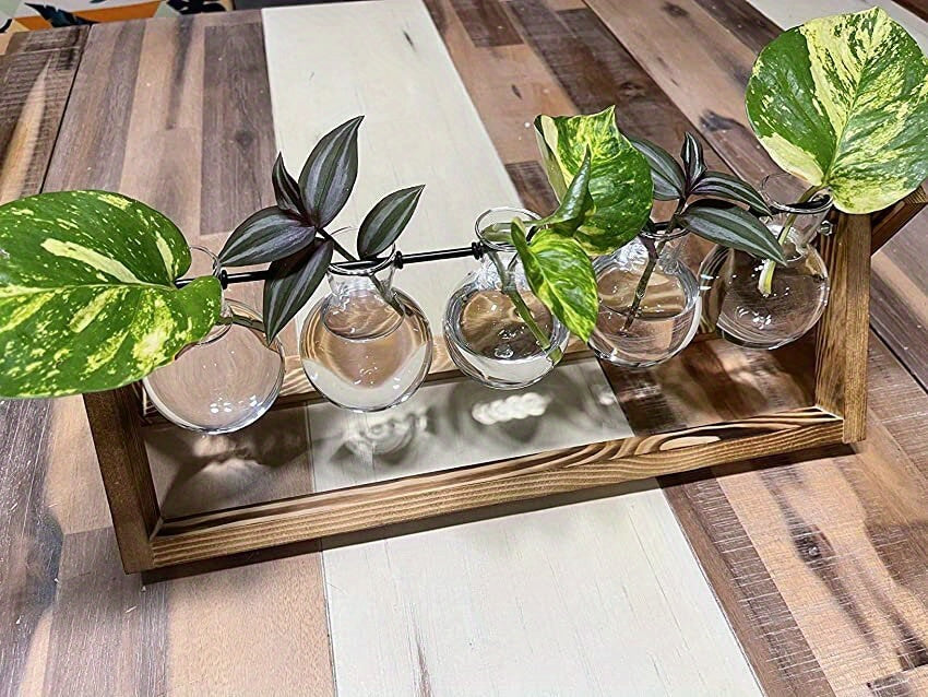 1pc, 5 Bulb Vase Plant Glass Container, With Wooden Frame, Indoor Living Hydroponic Plant Office Garden Planter