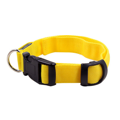 Light Up the Night with a LED Dog & Cat Collar - Perfect for Outdoor Walks!