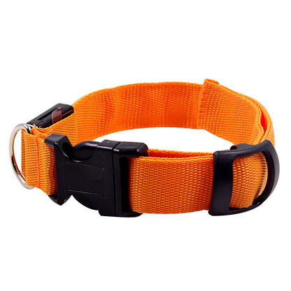 Light Up the Night with a LED Dog & Cat Collar - Perfect for Outdoor Walks!