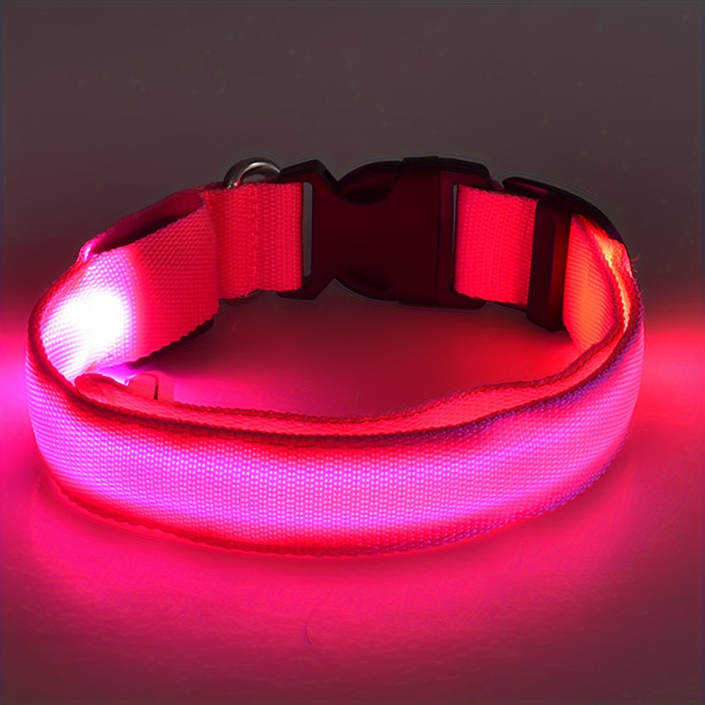 Light Up the Night with a LED Dog & Cat Collar - Perfect for Outdoor Walks!