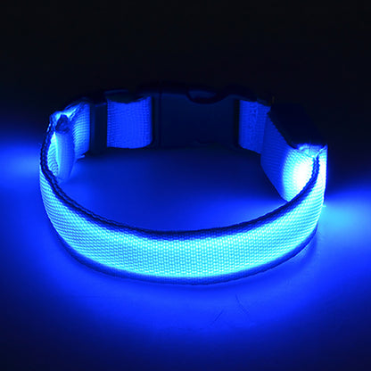 Light Up the Night with a LED Dog & Cat Collar - Perfect for Outdoor Walks!