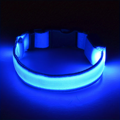 Light Up the Night with a LED Dog & Cat Collar - Perfect for Outdoor Walks!