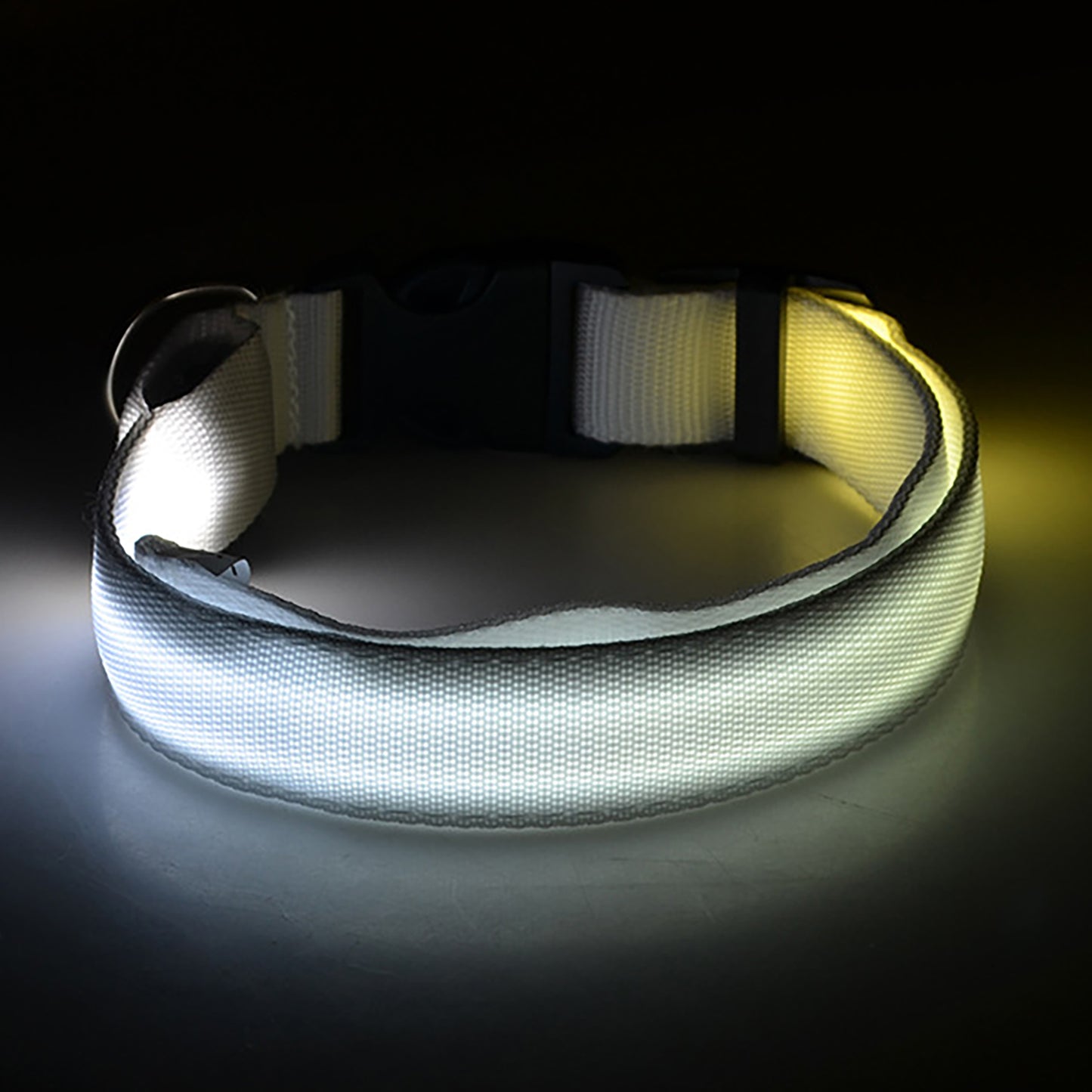 Light Up the Night with a LED Dog & Cat Collar - Perfect for Outdoor Walks!