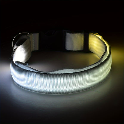 Light Up the Night with a LED Dog & Cat Collar - Perfect for Outdoor Walks!