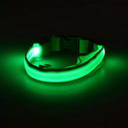 Light Up the Night with a LED Dog & Cat Collar - Perfect for Outdoor Walks!