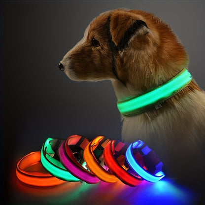 Light Up the Night with a LED Dog & Cat Collar - Perfect for Outdoor Walks!