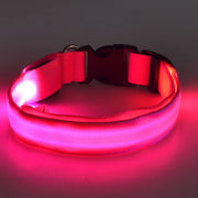 Light Up the Night with a LED Dog & Cat Collar - Perfect for Outdoor Walks!