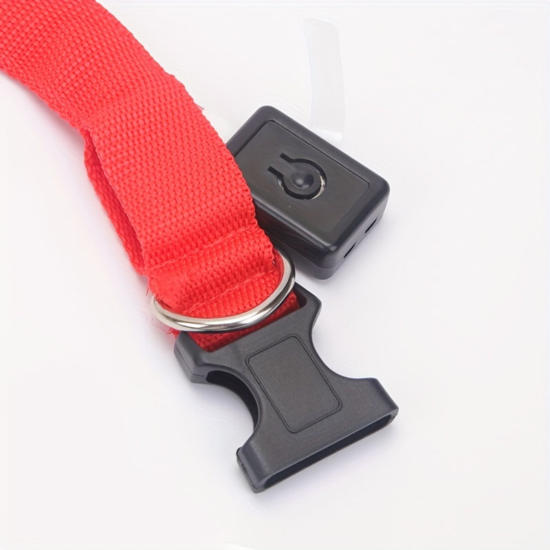 Light Up the Night with a LED Dog & Cat Collar - Perfect for Outdoor Walks!