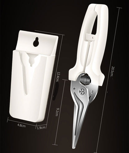 	 kitchen scissors that come apart