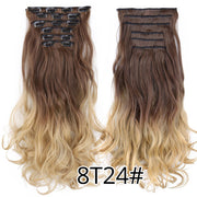 Leeons Synthetic Hair 16 clips Long Straight Synthetic Hair