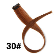 Leeons Synthetic Hair Clip-In One Piece