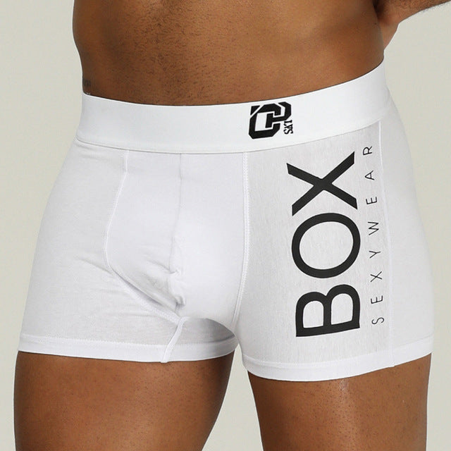 ORLVS Mens Boxer Sexy Underwear