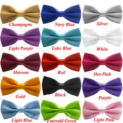 Trustworth 16Color Bow Tie For Men